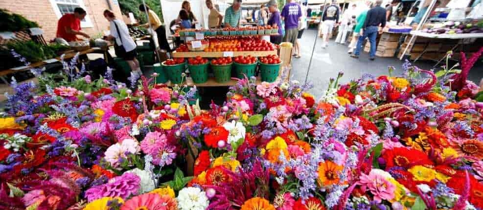 Farmers Market flowers
